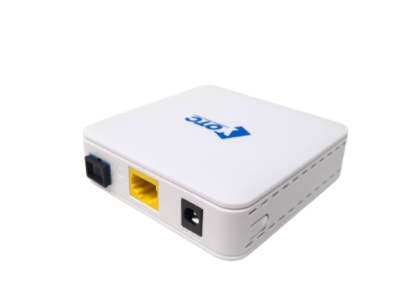YOTC ONT  M2-0100G